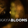 k_blooms
